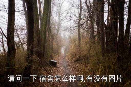 宿舍頂級衛(wèi)浴圖片真實(shí)圖,常州工學(xué)院宿舍圖片衛(wèi)浴