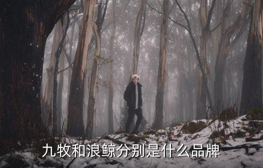 沿河浪鯨衛(wèi)浴地址電話,浪鯨衛(wèi)浴400電話