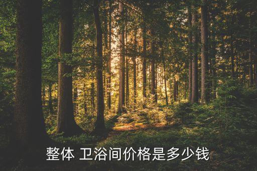 整體 衛(wèi)浴間價(jià)格是多少錢