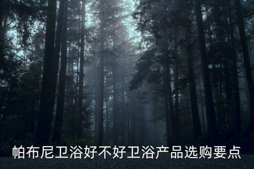 帕布尼衛(wèi)浴好不好衛(wèi)浴產(chǎn)品選購要點