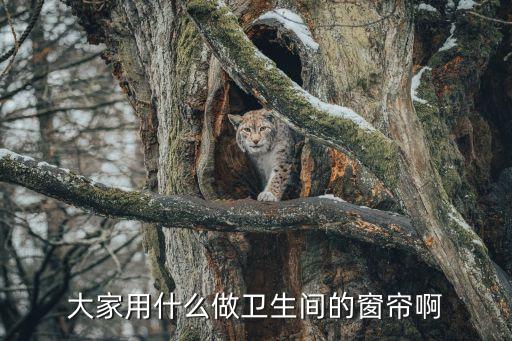 衛(wèi)浴伸縮遮擋簾安裝圖片