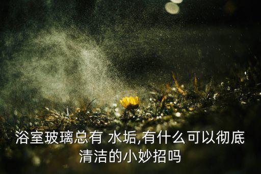 浴室玻璃總有 水垢,有什么可以徹底清潔的小妙招嗎