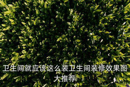 衛(wèi)生間就應該這么裝衛(wèi)生間裝修效果圖大推薦