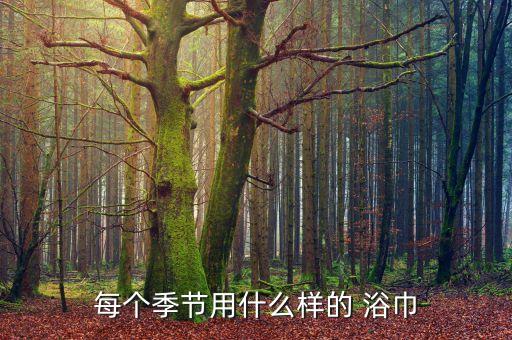 純棉衛(wèi)浴巾圖片高清