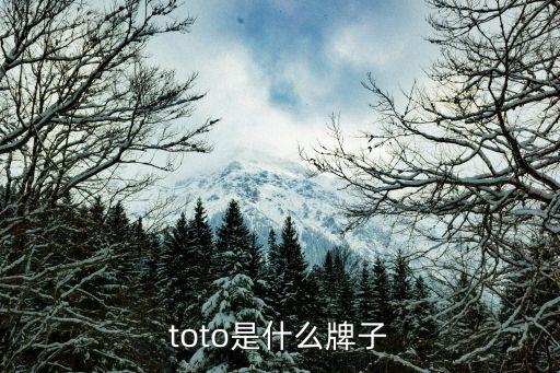 toto是什么牌子