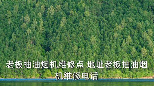 老板抽油煙機(jī)維修點(diǎn) 地址老板抽油煙機(jī)維修電話