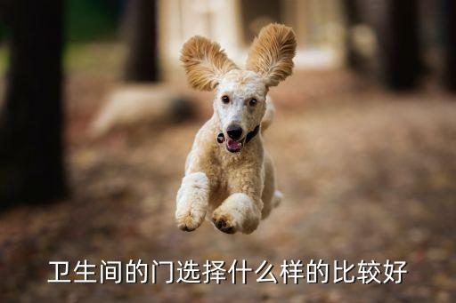 衛(wèi)生間的門選擇什么樣的比較好