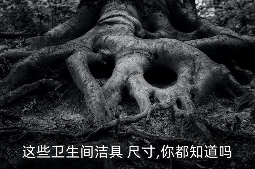 這些衛(wèi)生間潔具 尺寸,你都知道嗎