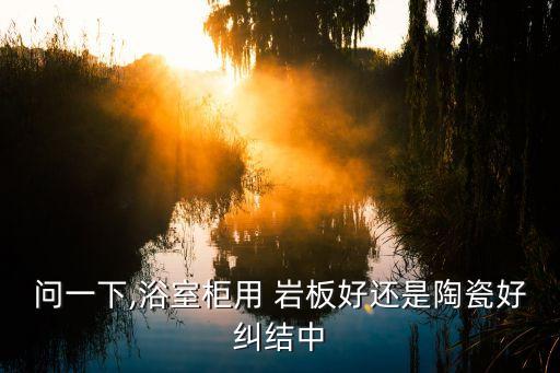 為什么品牌衛(wèi)浴沒有巖板,品牌衛(wèi)浴為什么那么貴