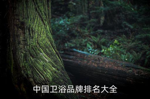 中國(guó)衛(wèi)浴品牌排名大全