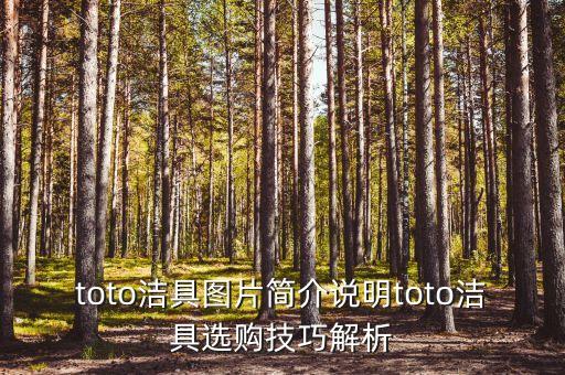 toto潔具圖片簡(jiǎn)介說(shuō)明toto潔具選購(gòu)技巧解析