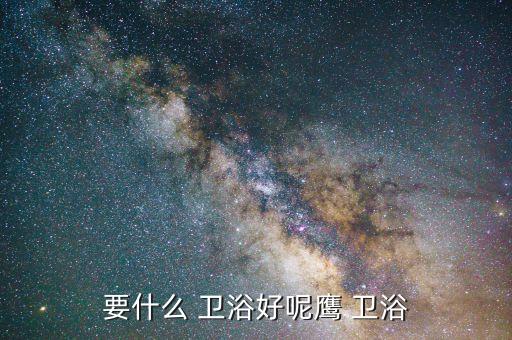 要什么 衛(wèi)浴好呢鷹 衛(wèi)浴