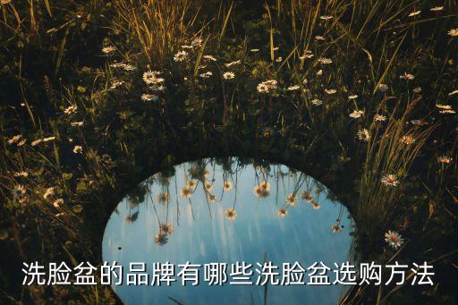 洗臉盆的品牌有哪些洗臉盆選購方法