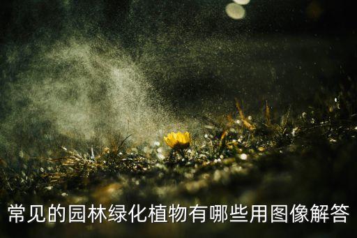 常見的園林綠化植物有哪些用圖像解答