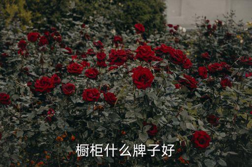 櫥柜什么牌子好