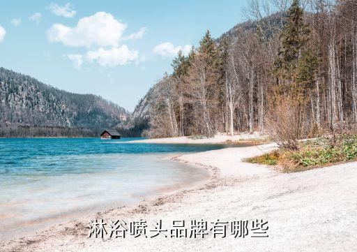 淋浴噴頭品牌有哪些