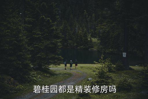  碧桂園都是精裝修房嗎
