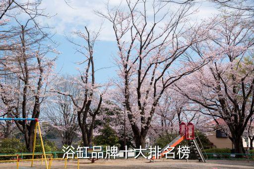 浴缸品牌十大排名榜