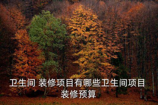 衛(wèi)生間 裝修項(xiàng)目有哪些衛(wèi)生間項(xiàng)目 裝修預(yù)算