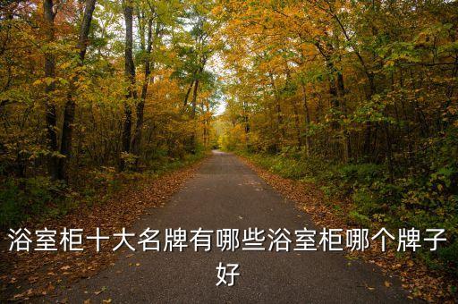 浴室柜十大名牌有哪些浴室柜哪個牌子好