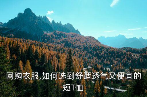網(wǎng)購衣服,如何選到舒適透氣又便宜的短T恤
