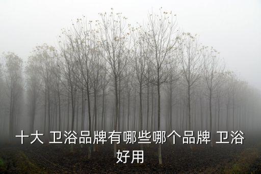 廚房衛(wèi)浴什么好品牌好,E0SO廚房衛(wèi)浴是日本品牌嗎