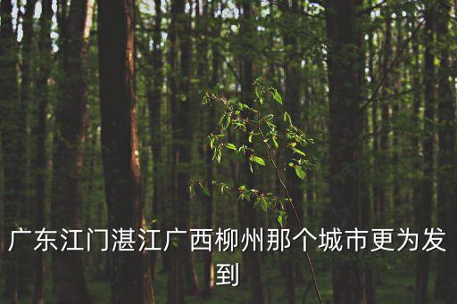 廣東江門湛江廣西柳州那個城市更為發(fā)到