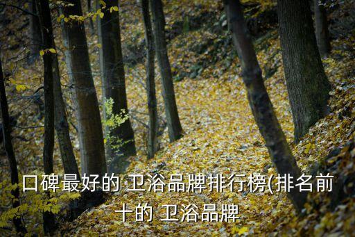 口碑最好的 衛(wèi)浴品牌排行榜(排名前十的 衛(wèi)浴品牌