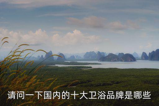 請問一下國內(nèi)的十大衛(wèi)浴品牌是哪些
