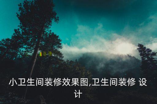 小衛(wèi)生間裝修效果圖,衛(wèi)生間裝修 設(shè)計(jì)