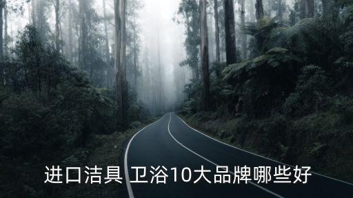 中國衛(wèi)浴進(jìn)口有多少個(gè)品牌