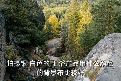拍攝銀 白色的 衛(wèi)浴產(chǎn)品用什么顏色的背景布比較好