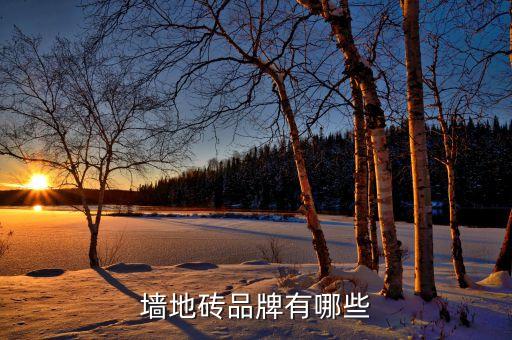 墻地磚品牌有哪些