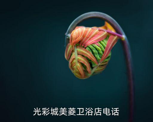 宿州光彩城美菱衛(wèi)浴店電話