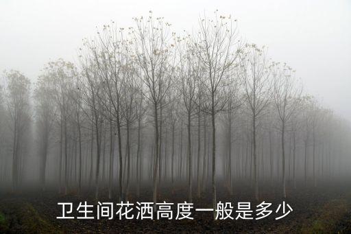 衛(wèi)生間花灑高度一般是多少