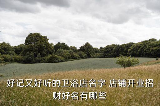 木飾面衛(wèi)浴店鋪效果圖片