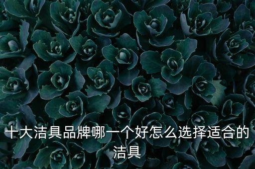 大品牌衛(wèi)浴釉面哪個好一點