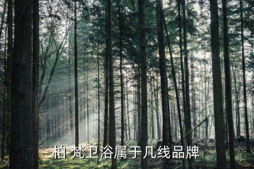 柏 梵衛(wèi)浴屬于幾線品牌