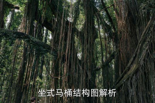 坐式馬桶結(jié)構(gòu)圖解析