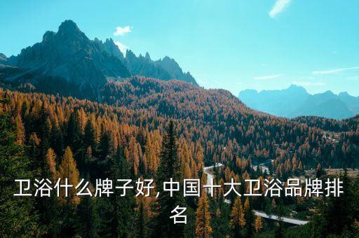 衛(wèi)浴什么牌子好,中國十大衛(wèi)浴品牌排名