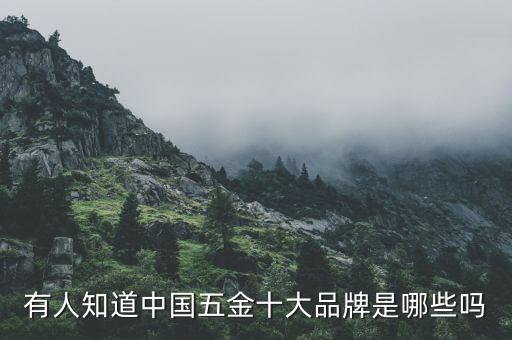 衛(wèi)浴九合一工具品牌排行,衛(wèi)浴工具品牌排行榜