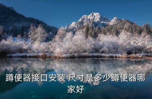 上海節(jié)水衛(wèi)浴尺寸圖片高清