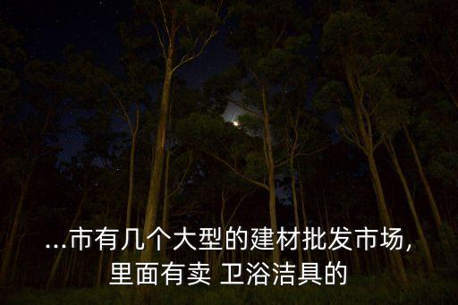 ...市有幾個大型的建材批發(fā)市場,里面有賣 衛(wèi)浴潔具的