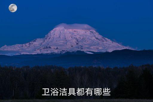 衛(wèi)浴潔具都有哪些