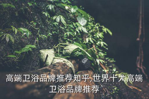 進(jìn)口高端衛(wèi)浴品牌推薦知乎,世界十大高端衛(wèi)浴品牌推薦