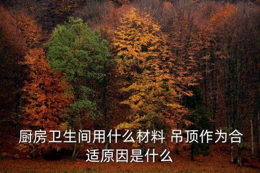  廚房衛(wèi)生間用什么材料 吊頂作為合適原因是什么