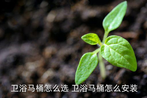  衛(wèi)浴馬桶怎么選 衛(wèi)浴馬桶怎么安裝