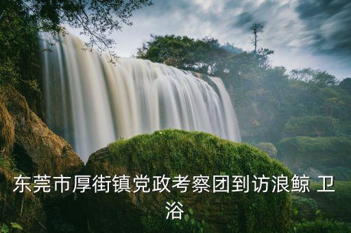 東莞市厚街鎮(zhèn)黨政考察團(tuán)到訪(fǎng)浪鯨 衛(wèi)浴