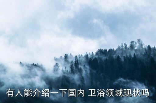 有人能介紹一下國(guó)內(nèi) 衛(wèi)浴領(lǐng)域現(xiàn)狀嗎