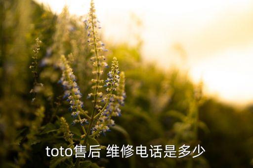 toto售后 維修電話是多少